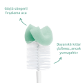Munchkin Bristle Sünger Uçlu Biberon, Bardak ve Şişe Temizleme Fırçası | 1 Adet | Vakumlu Taban | Yeşil