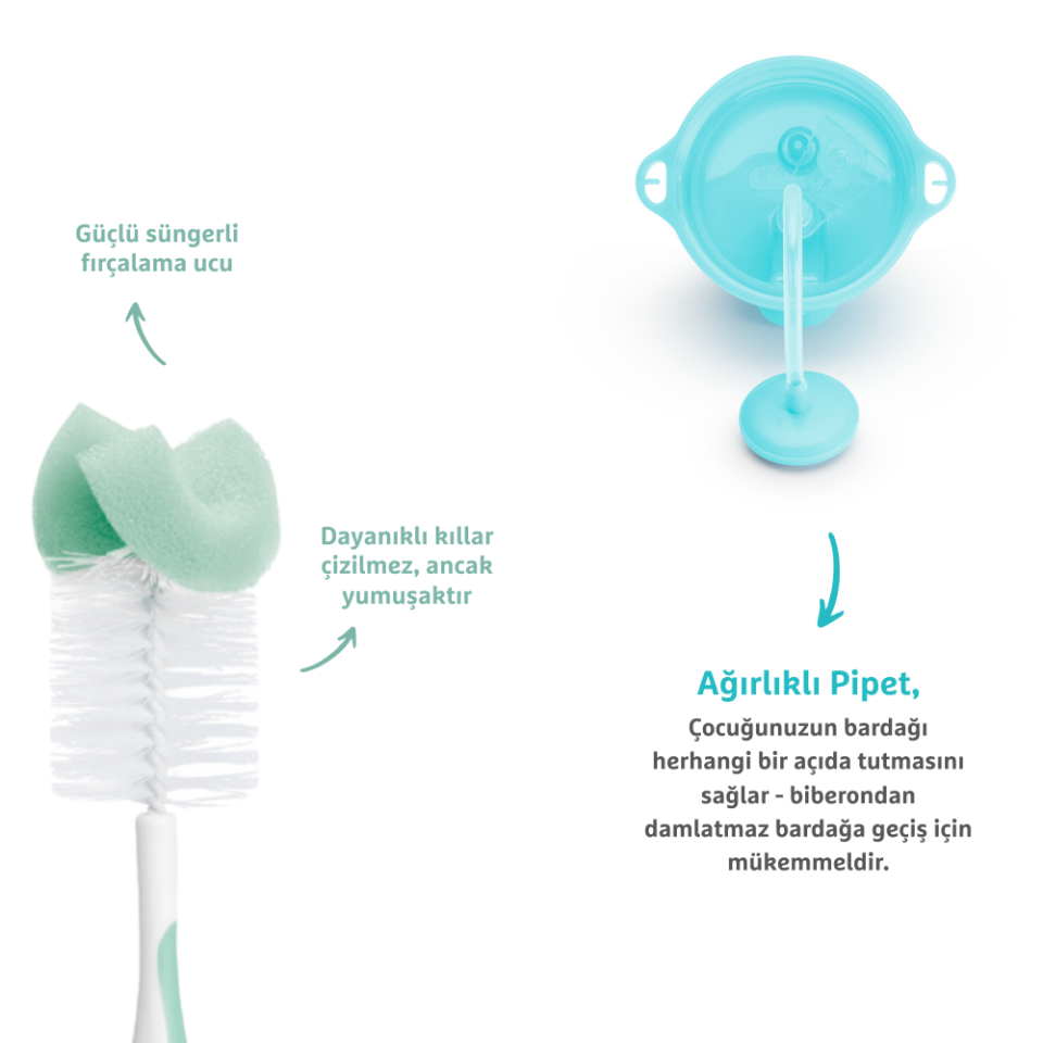 Munchkin Tıklama Kilitli Uçlu Pipetli Alıştırma Bardağı, 12ay+, 296ml,Mavi  ve Sünger Uçlu Biberon, Bardak ve Şişe Temizleme Fırçası,Yeşil