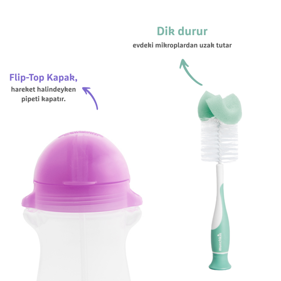 Munchkin Tıklama Kilitli Uçlu Pipetli Alıştırma Bardağı, 12ay+, 296ml,Mor  ve Sünger Uçlu Biberon, Bardak ve Şişe Temizleme Fırçası,Yeşil