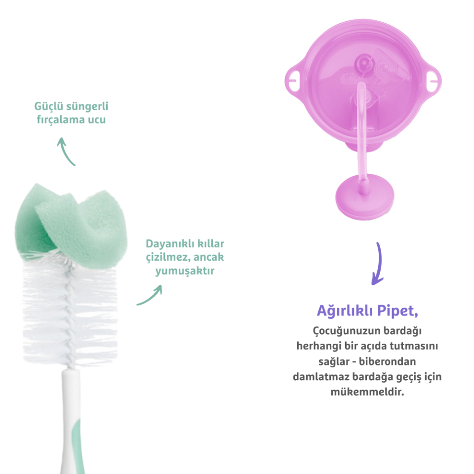 Munchkin Tıklama Kilitli Uçlu Pipetli Alıştırma Bardağı, 12ay+, 296ml,Mor  ve Sünger Uçlu Biberon, Bardak ve Şişe Temizleme Fırçası,Yeşil