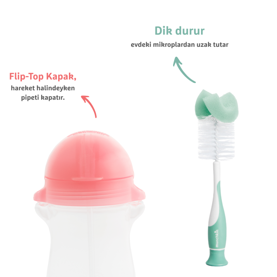Munchkin Tıklama Kilitli Uçlu Pipetli Alıştırma Bardağı, 12ay+, 296ml,Pembe  ve Sünger Uçlu Biberon, Bardak ve Şişe Temizleme Fırçası,Yeşil