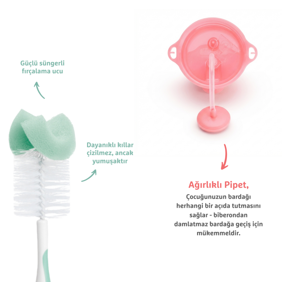 Munchkin Tıklama Kilitli Uçlu Pipetli Alıştırma Bardağı, 12ay+, 296ml,Pembe  ve Sünger Uçlu Biberon, Bardak ve Şişe Temizleme Fırçası,Yeşil