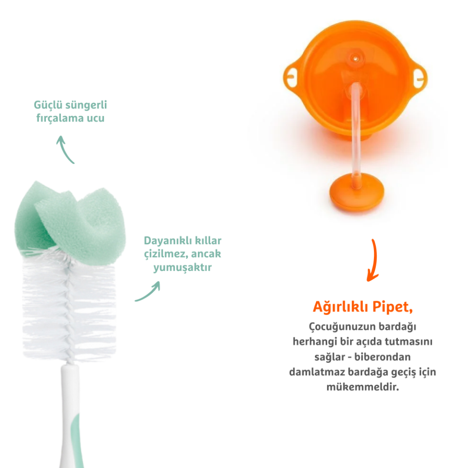 Munchkin Tıklama Kilitli Uçlu Pipetli Alıştırma Bardağı, 12ay+, 296ml,Turuncu  ve Sünger Uçlu Biberon, Bardak ve Şişe Temizleme Fırçası,Yeşil